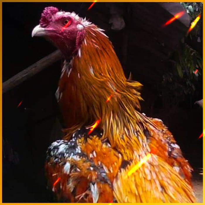 Miami 1688 สล็อต เว็บตรง มั่นใจ ปลอดภัย โปรโมชั่นเด็ด โบนัสสูงสุด